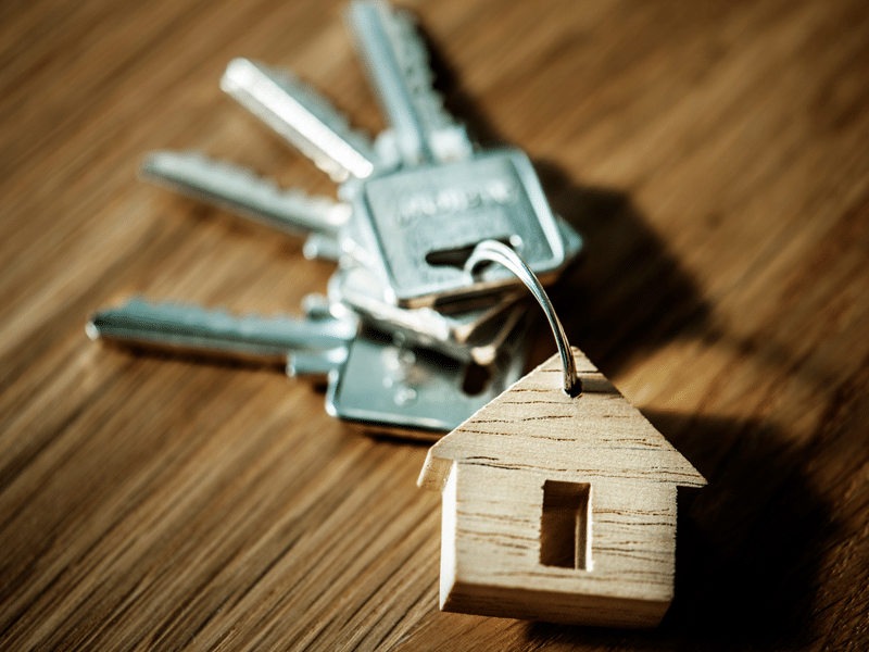 Homeowners insurance for Tampa homes from iInsure
