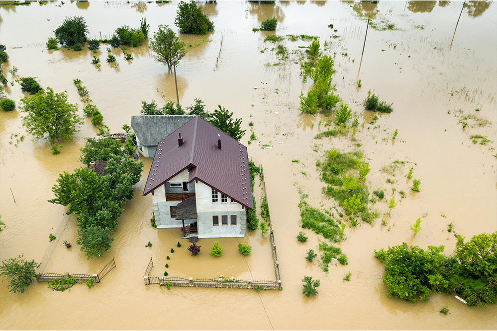 flood insurance